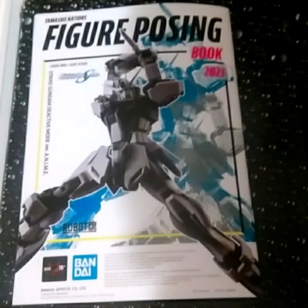 Tamashii Nations Figure Posing 2023 Limited Edition from 2023 World Tour